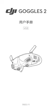 DJI大疆DJI Goggles 2
